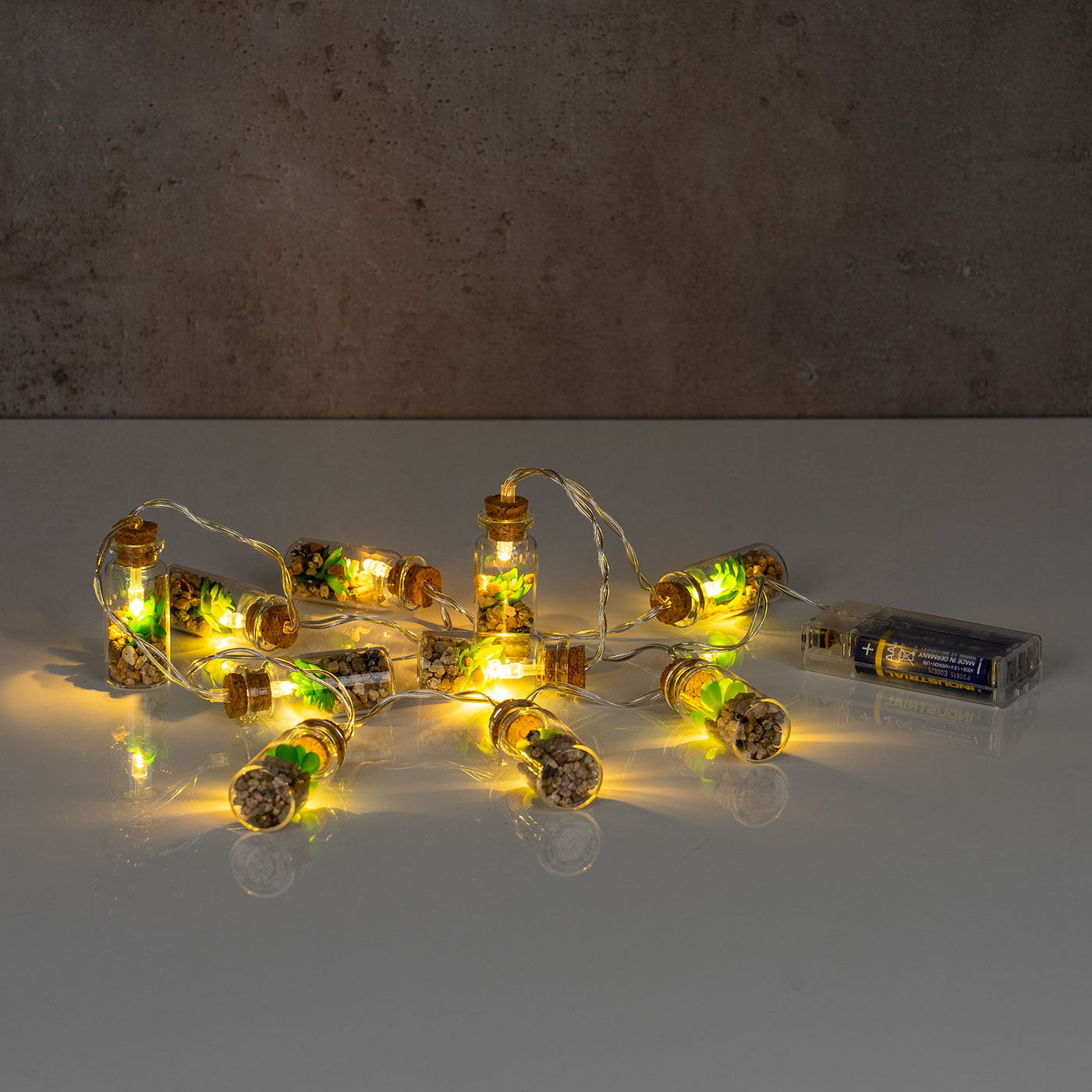 Lichterkette Innen 10 LED Lampe Sukkulenten Gläser Pflanzen Kunstpflanze Deko