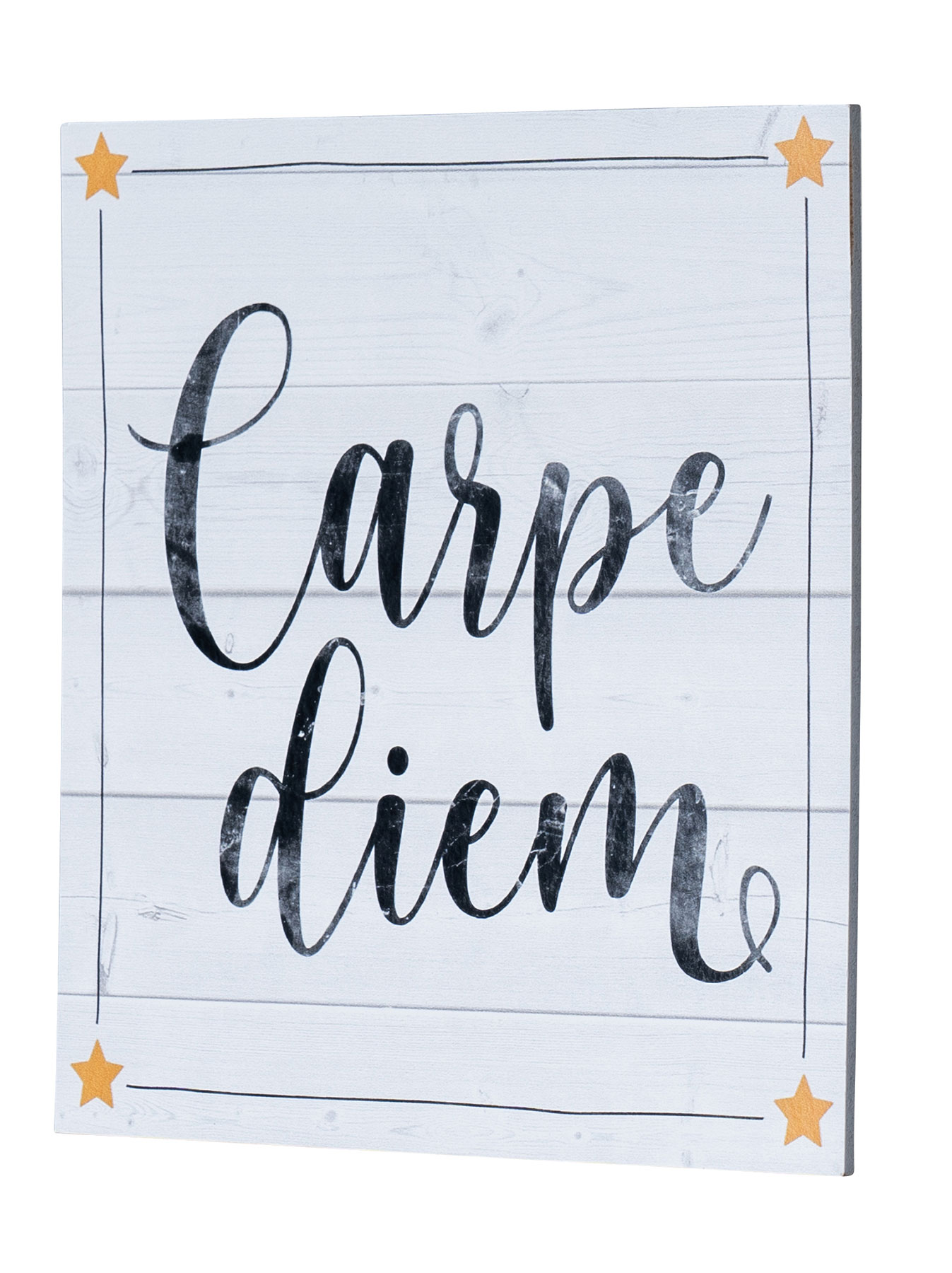 Wandbild 20x20cm Carpe Diem Spruch Deko Wandschild Bild Wanddeko Geschenkidee