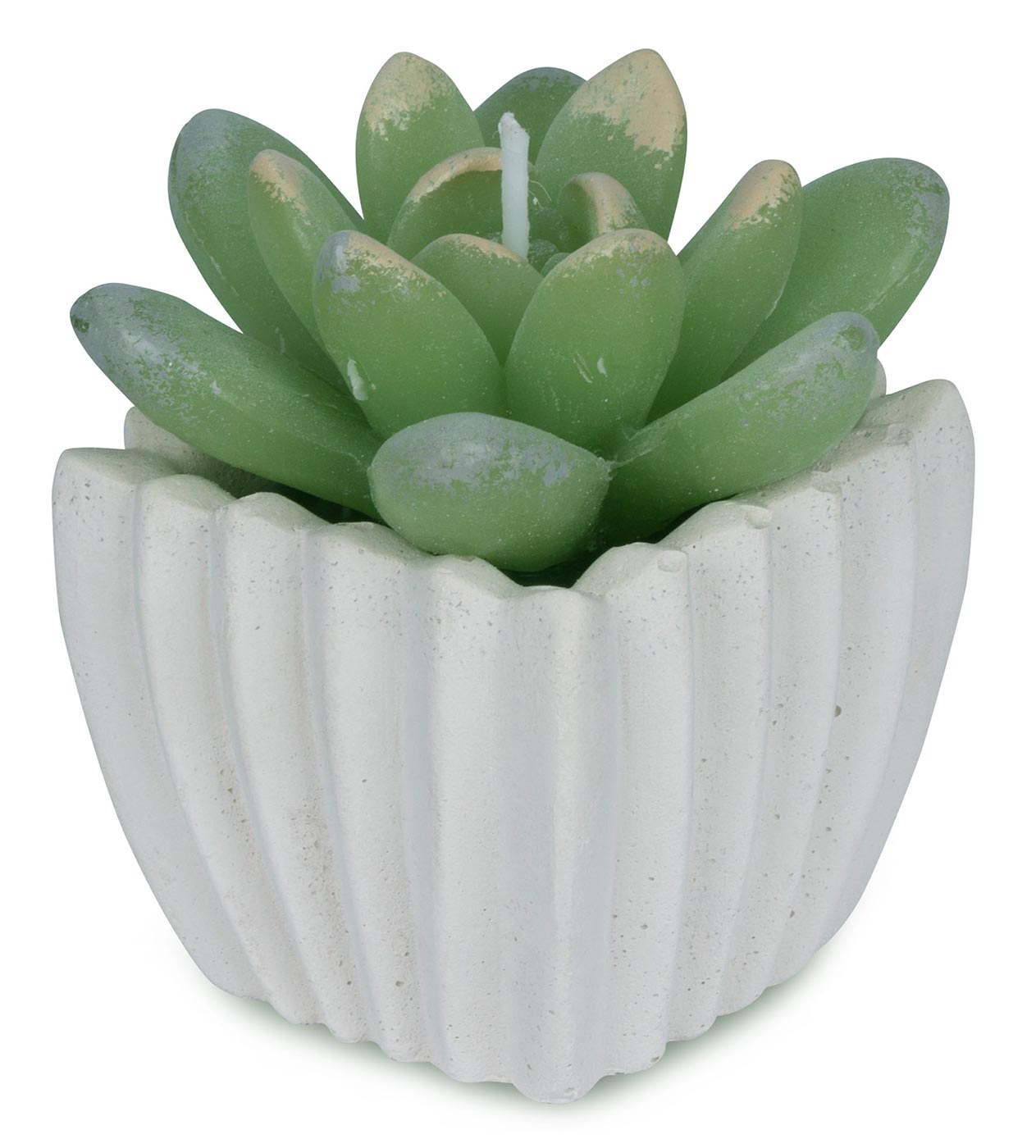 Dekoschale Blatt 30x20cm Grau Kerze Steine Beton Zement Tischdeko Set