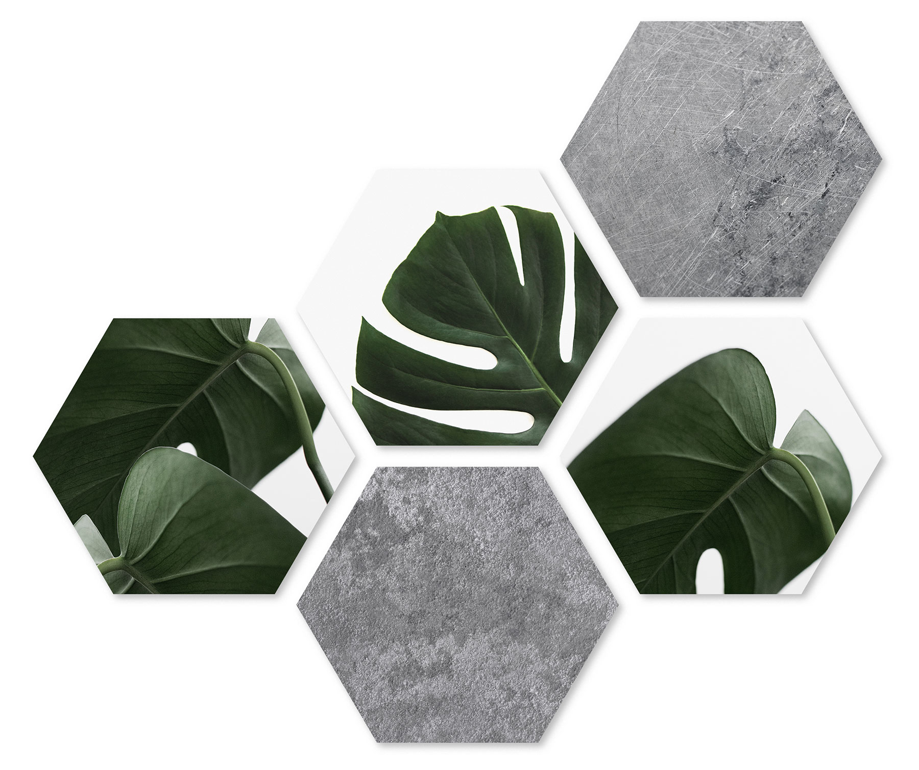 5er Set Wandbilder je 28x32cm Wanddeko Hexagon Monstera Betonoptik Holzbild Deko