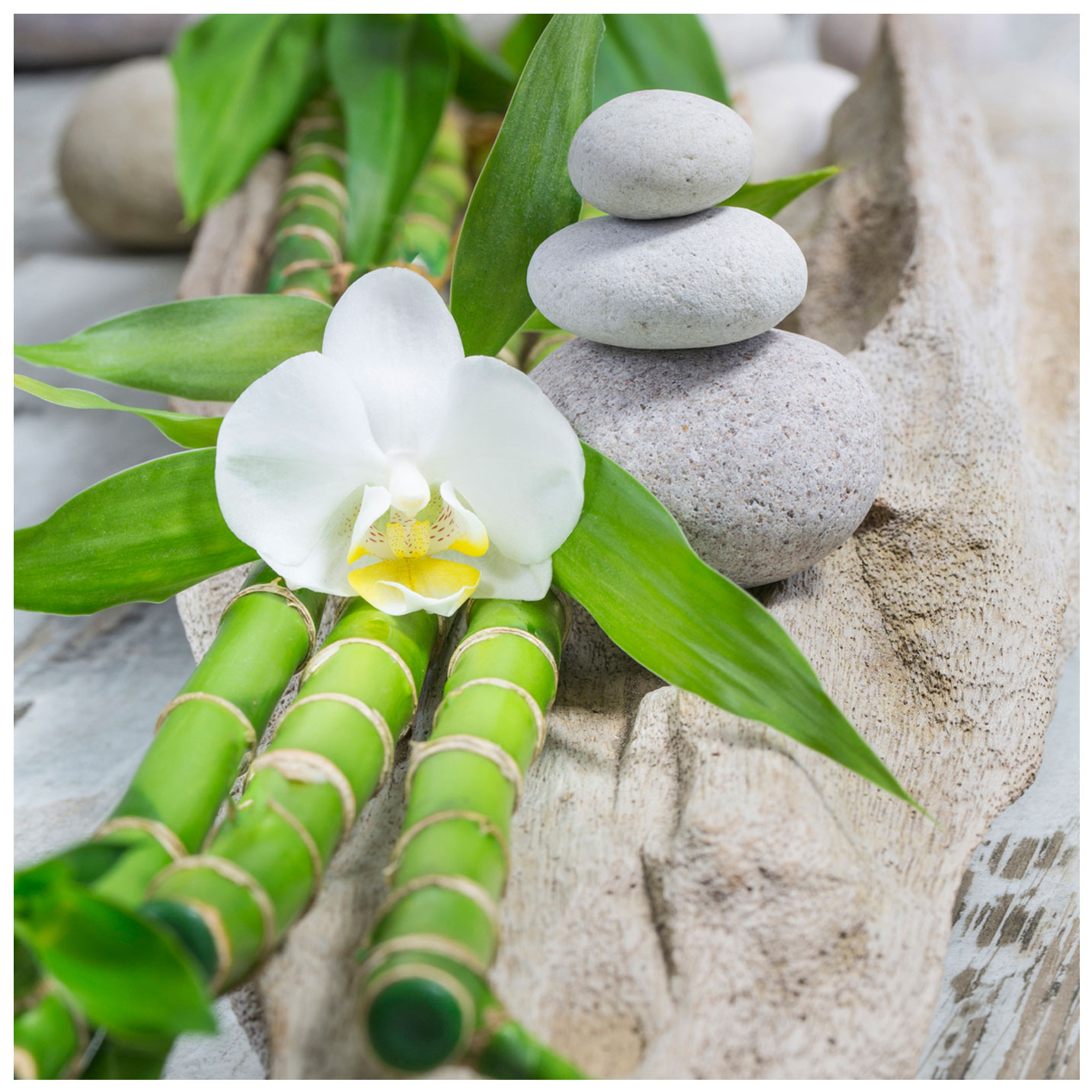 levandeo Glasbild 30x30cm Weiße Orchidee Bambus Wellness Wandbild Wanddeko