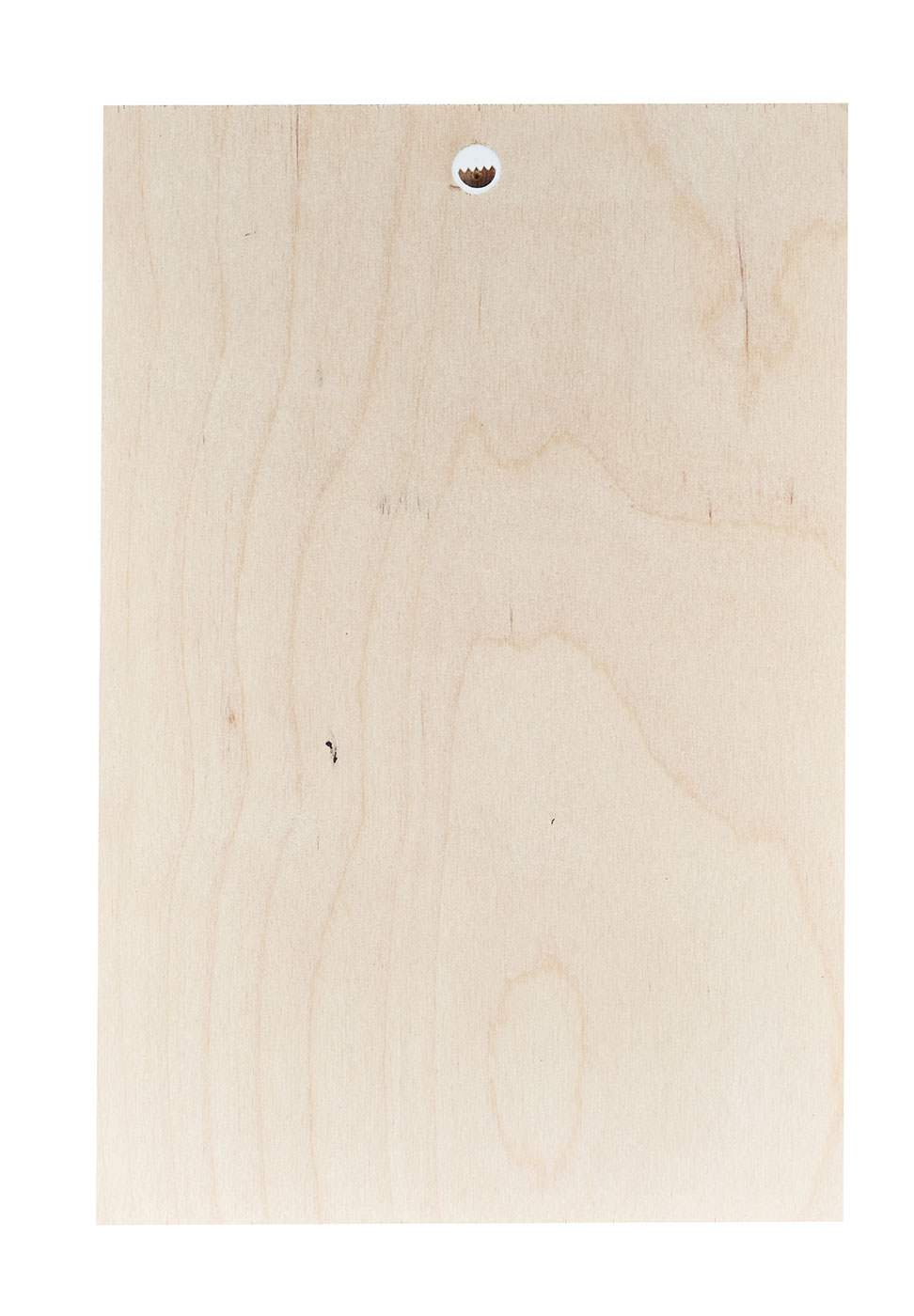3er Set Wandbild je 20x30cm Holz Birkenholz Orchideen Bambus Holzbild Wanddekoration