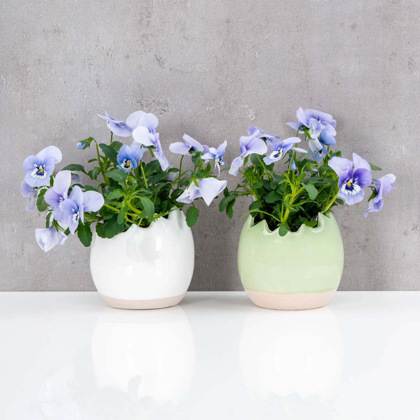 2er Set Eierschale Deko Blumentopf H11cm Keramik Weiß Grün Sandfinish Osterdeko