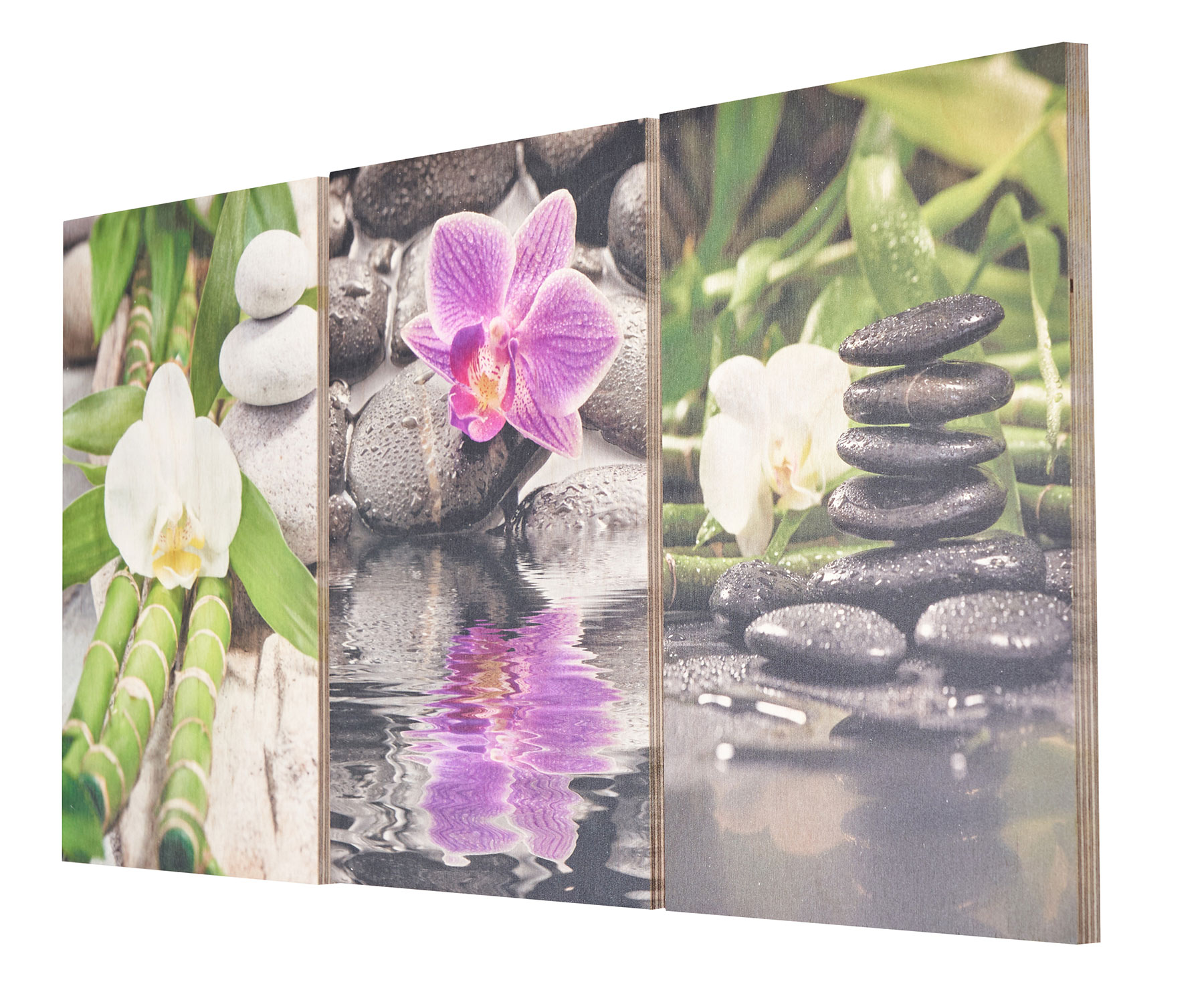 3er Set Wandbild je 20x30cm Holz Birkenholz Orchideen Bambus Holzbild Wanddekoration