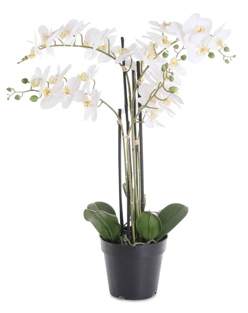 Weiße Orchidee 72cm Pflanze Kunstblume Kunstpflanze Dekoration Blume