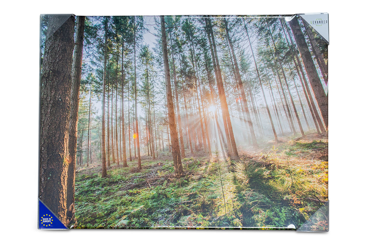 Leinwandbild 80x60cm Wald Natur Landschaft Echtholz Keilrahmen Wanddeko Wandbild