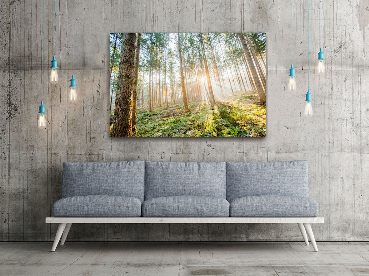 Leinwandbild 80x60cm Wald Natur Landschaft Echtholz Keilrahmen Wanddeko Wandbild