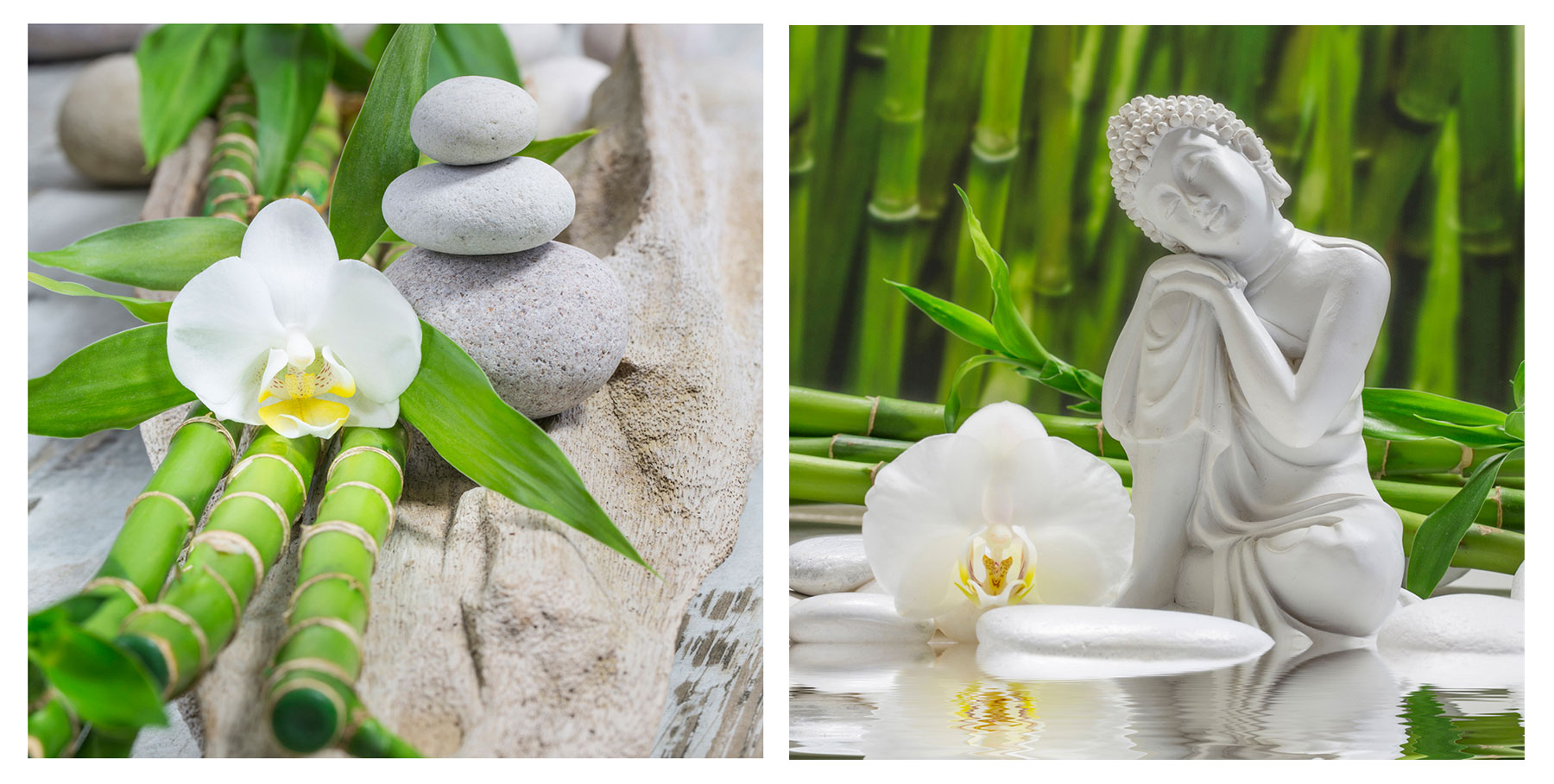 levandeo 2er Set Glasbild 30x30cm Buddha Weiße Orchidee Bambus Wandbild Deko