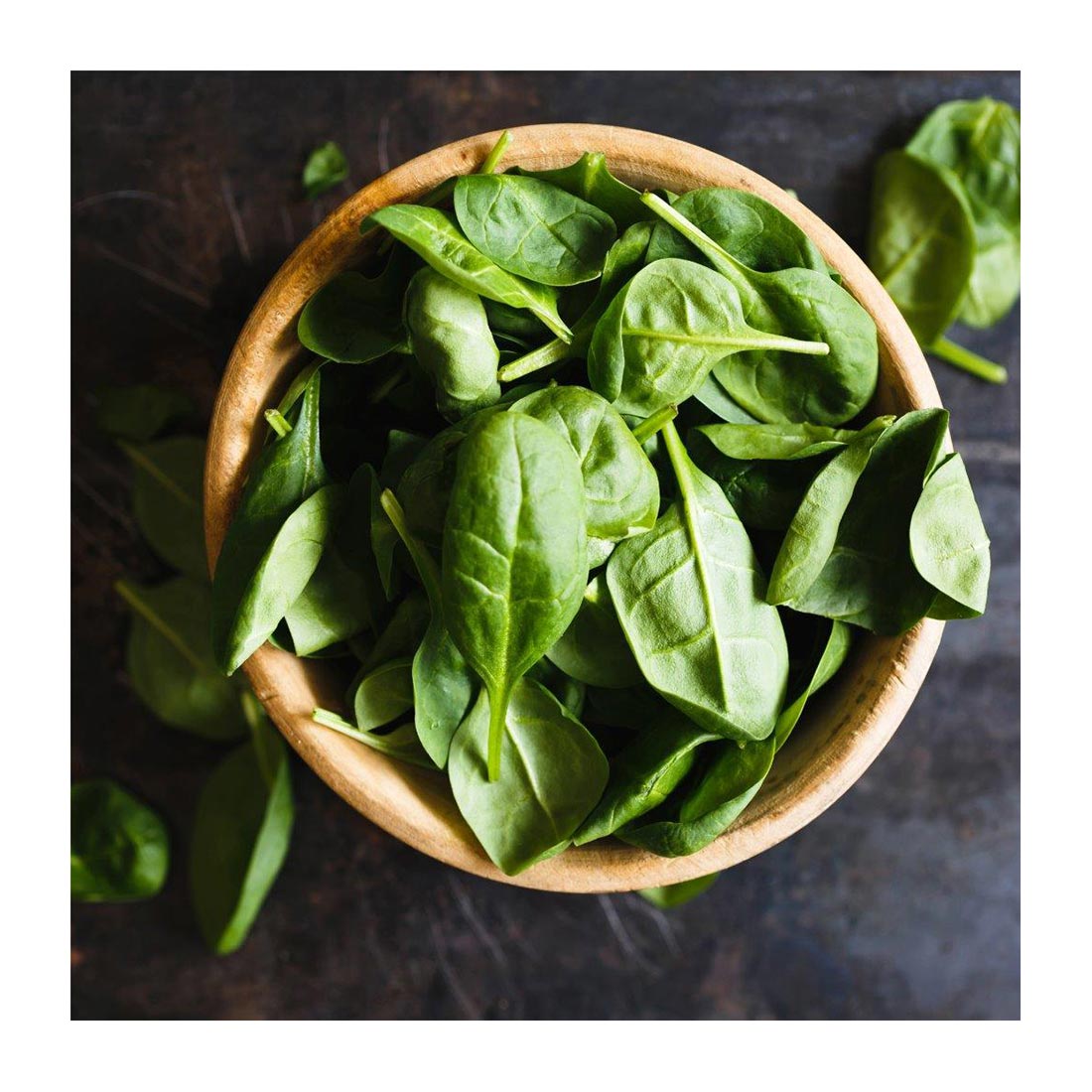 91213-0005_05 91213-0005_05