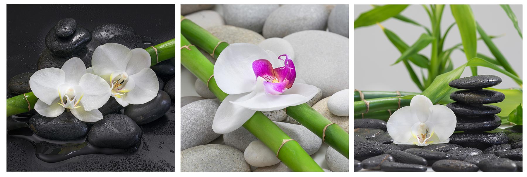levandeo Glasbild 30x30cm Orchideen Wandbild Bambus Glas Wellness Relax