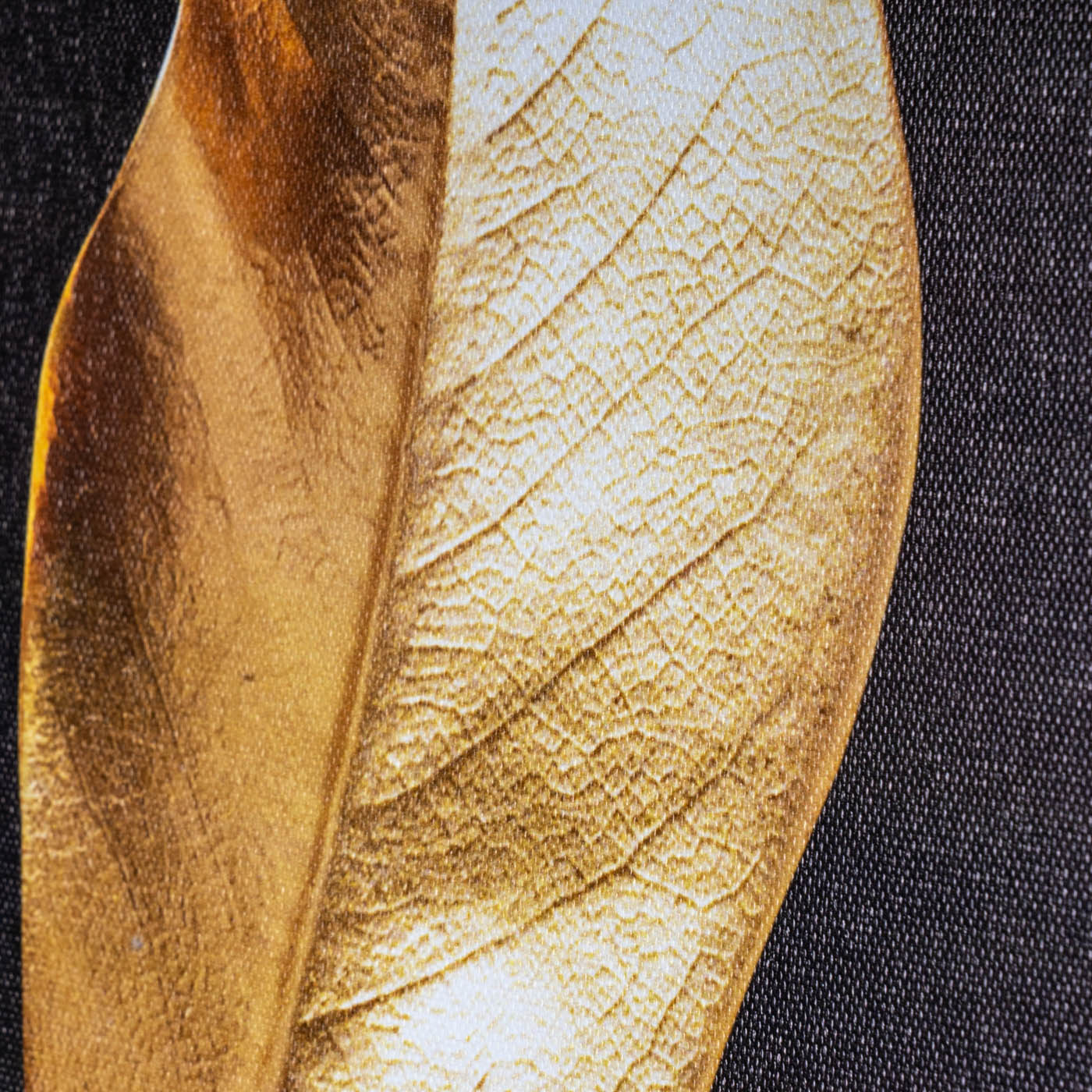 3er Set Wandbilder 30x40cm Blätter Schwarz Gold Wanddeko Monstera Leinwand Deko
