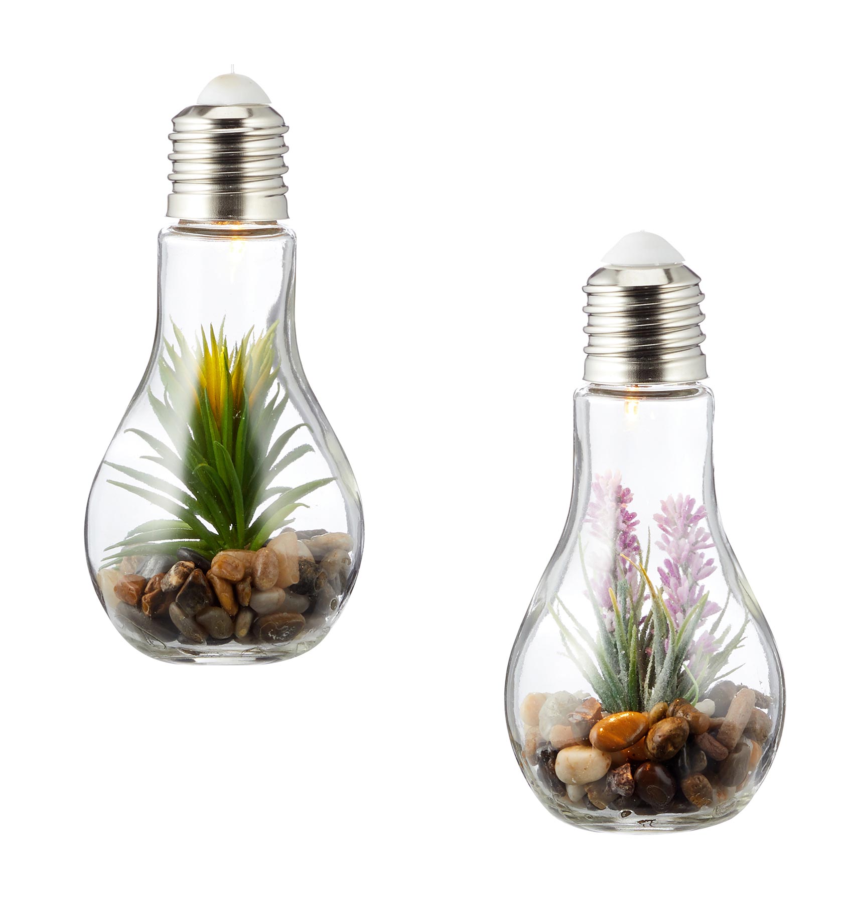 2er Set Sukkulenten Glühbirne Glas je B x H 8 x 19cm Deko LED Lampe Kunstpflanze