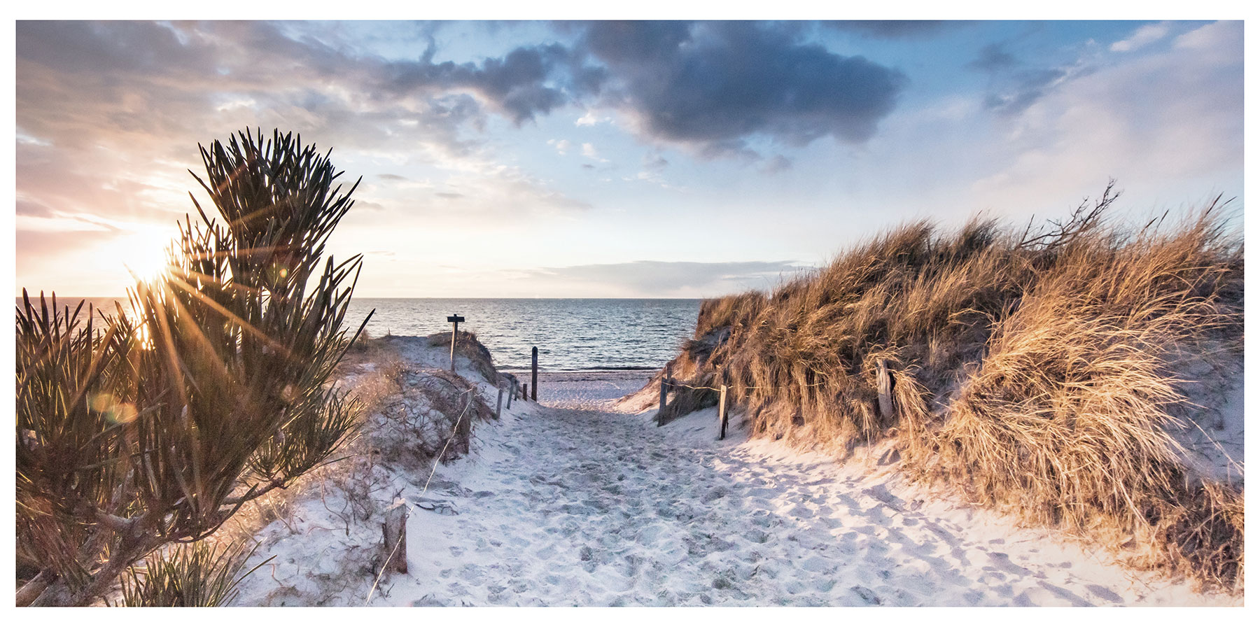 XXL Leinwandbild 115x55cm Bild Sand Strand Düne Meer Wandbild Deko Wanddeko