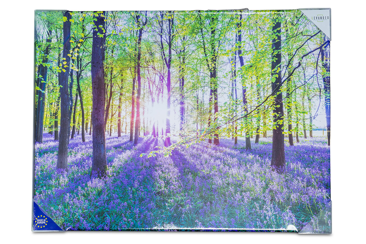 Leinwandbild 80x60cm Wald Natur Lavendel Echtholz Keilrahmen Wanddeko Wandbild