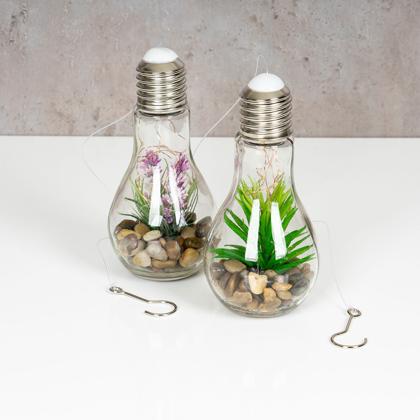 2er Set Sukkulenten Glühbirne Im Glas B x H: 8 x 19 cm LED Warmweiß Pflanze