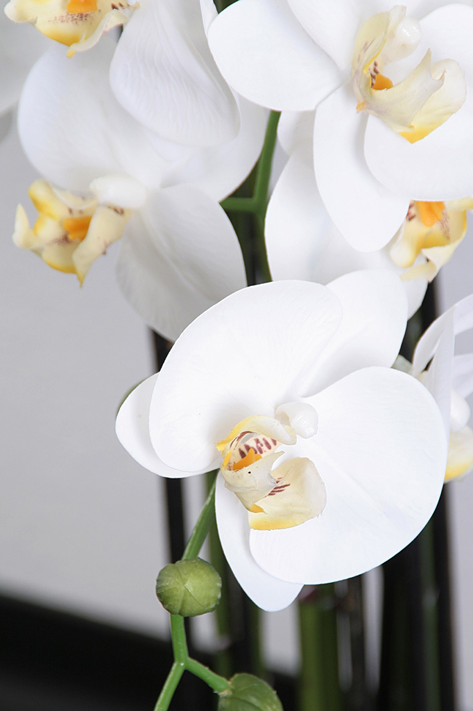 Weiße Orchidee 115cm Pflanze Kunstblume Kunstpflanze Dekoration Blume