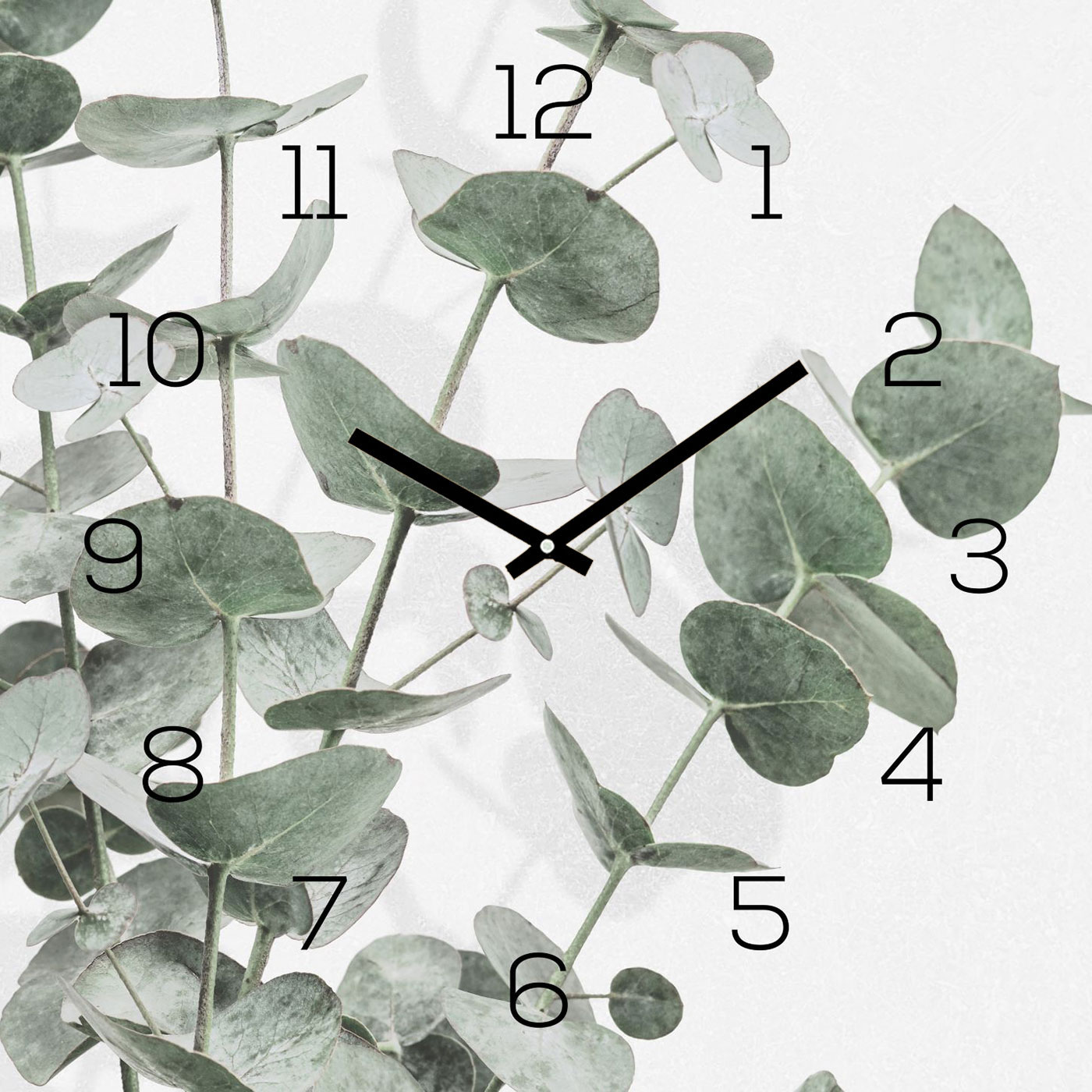 Wanduhr 30x30cm Alu-Dibond Eukalyptus Blätter Alubild Uhr Wandbild Kunstdruck