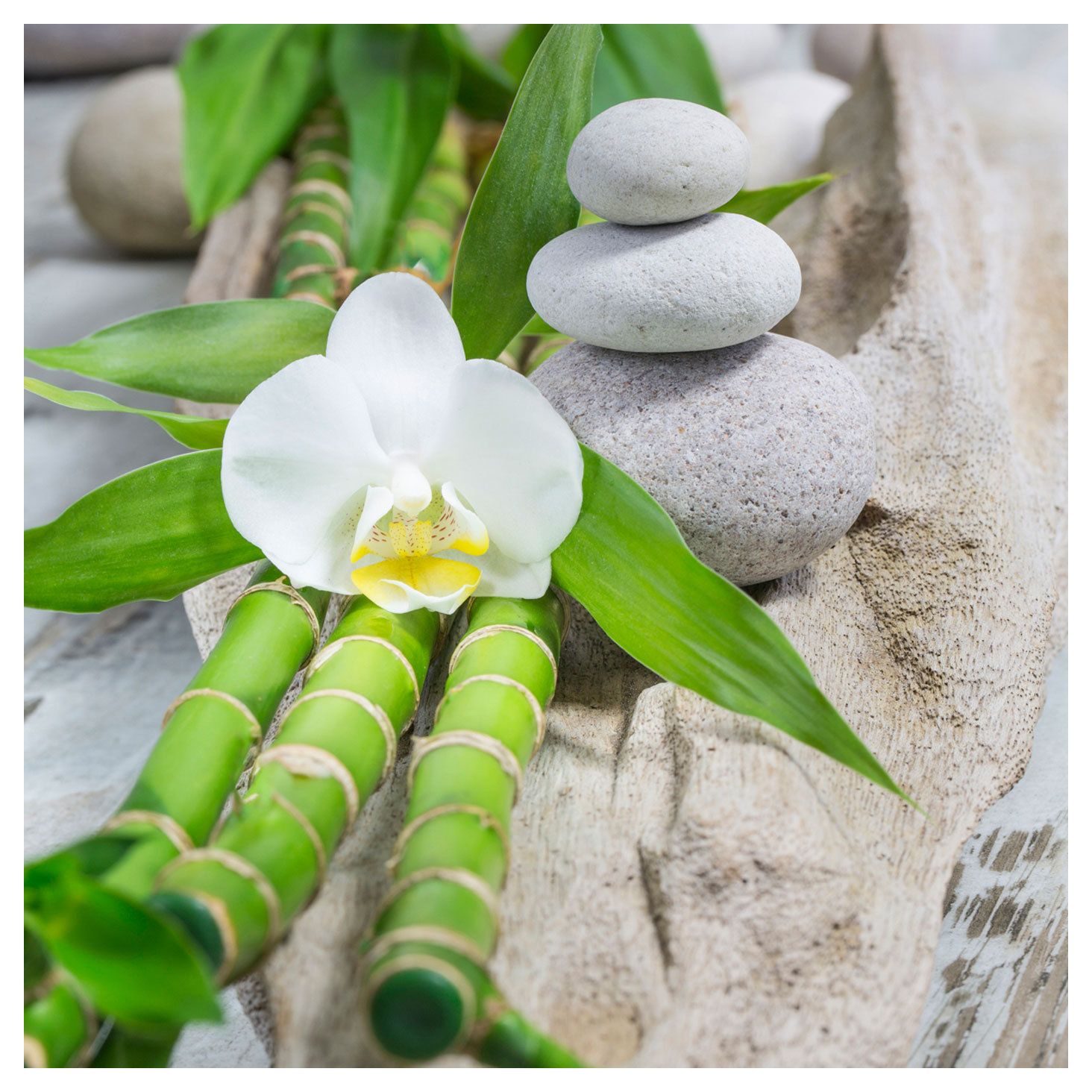 levandeo 2er Set Glasbild 30x30cm Buddha Weiße Orchidee Bambus Wandbild Deko