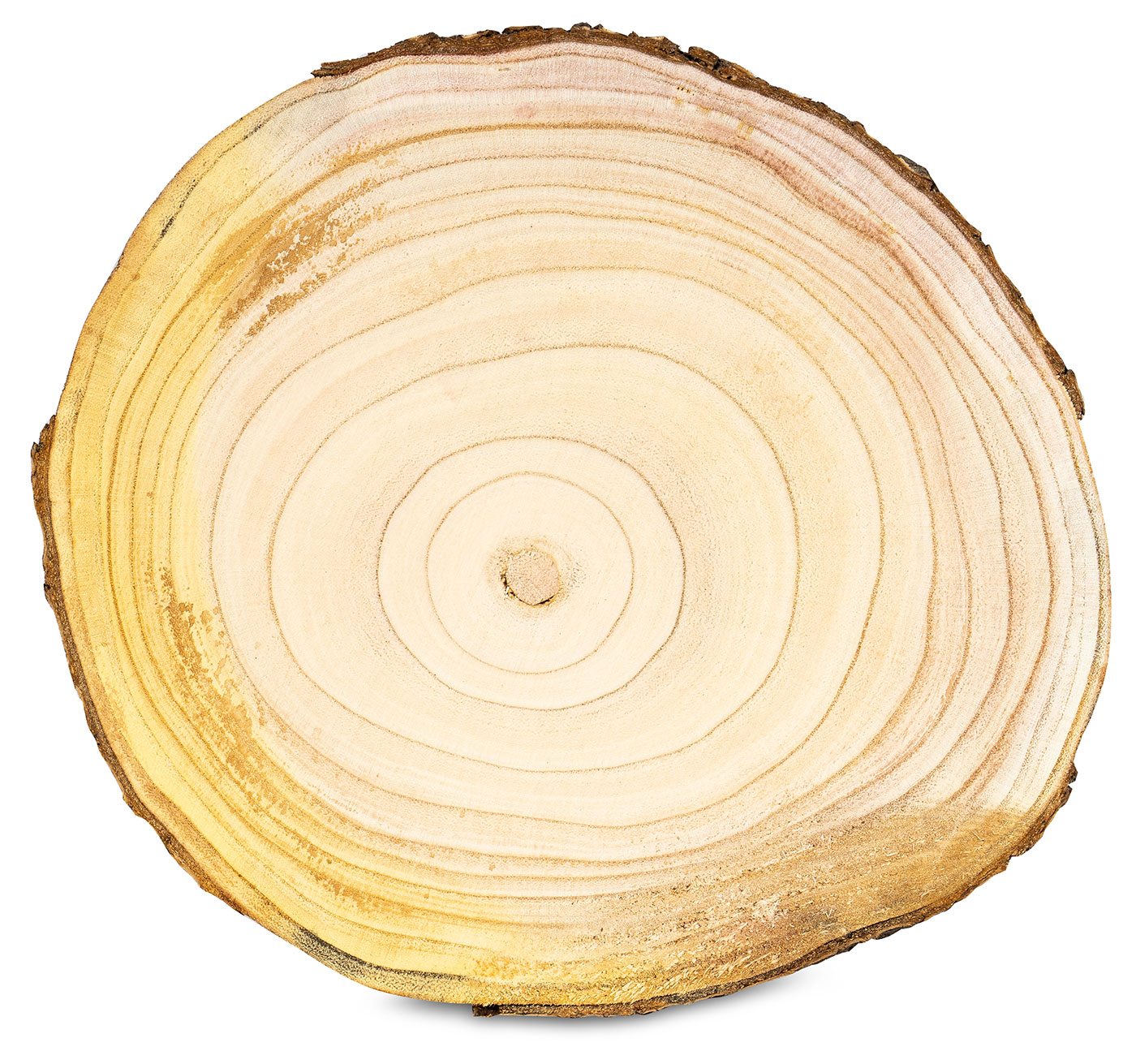 Baumscheibe Deko-Platte Ca. Ø 29cm Holz-Scheibe Naturbelassen Unikat