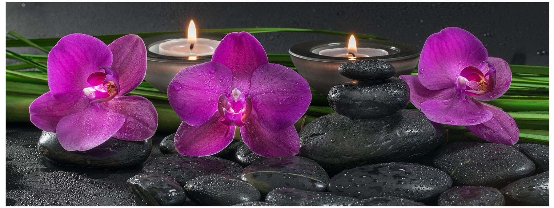 Glasbild 80x30cm Wandbild aus Glas rosa Orchideen Steine Wellness Deko
