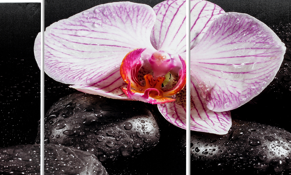 Wandbild 4 teilig Spa Wellness Orchidee Feng Shui Wasser Bild Leinwand
