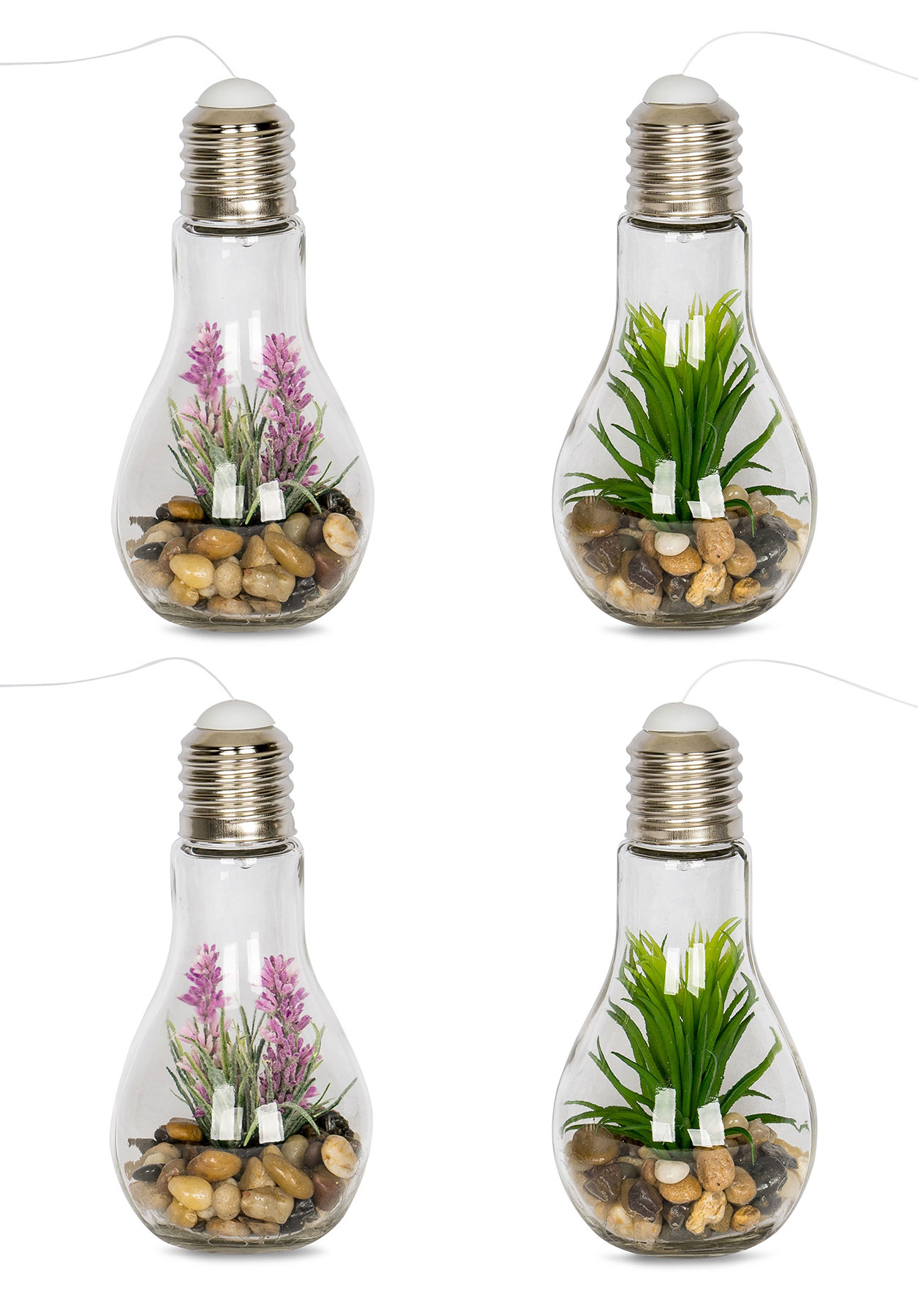 4er Set Sukkulenten Glühbirne Glas je B x H 8 x 19cm Deko LED Lampe Kunstpflanze